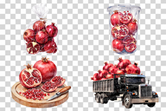Pomegranate PNG | Watercolor Fruit Clipart Baskets Plastic Product Image 4