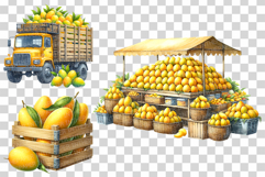 Mango PNG | Watercolor Fruit Summer Fresh Produce Clipart Product Image 4