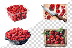Raspberry PNG | Watercolor Fruit Sweet Juicy Summer Fresh Product Image 4