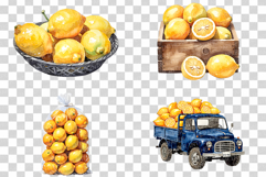Watercolor Lemon | Citrus Fruit PNG Clipart Kitchen Decor Product Image 4