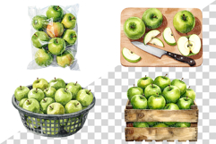 Green Apple | Watercolor fresh fruit juicy crisp farm PNG Product Image 4