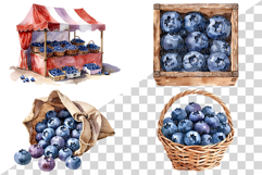 Blueberry PNG | Watercolor Fruit Sweet Juicy Summer Fresh Product Image 4