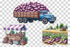 Vitelotte | Watercolor Purple Potato art Farm Harvest PNG Product Image 4