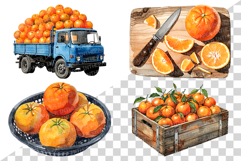 Orange | Watercolor fresh citrus fruit farm harvest png Clip Product Image 4