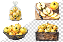 Gloden Apple | Watercolor yellow fruit fresh juicy PNG Product Image 4