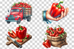 Red Bell Pepper | Watercolor Vegetable Paprika Chili PNG Product Image 4