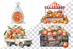 Red Grapefruit PNG | Watercolor Fruit Sweet Juicy Summer Product Image 4