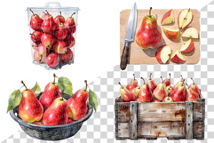 Red Pear | Watercolor fruit fresh ripe juicy png Clipart Product Image 4