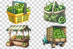 Green Bell Pepper | Watercolor Vegetable Fresh Organic PNG Product Image 4