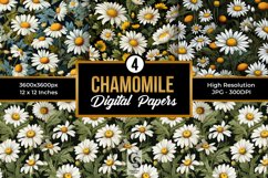 Chamomile Flowers Seamless Patterns, Floral Digital Papers Product Image 1