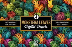 Monstera Leaves Pattern Digital Papers Product Image 1
