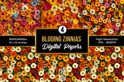 Blooming Zinnia Flowers Digital Papers Product Image 1