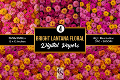 Pink Summer Lantana Flowers Digital Paper Product Image 1