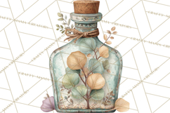 Vintage Herbal Apothecary Clipart, Spring Botanical Png Product Image 3