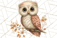 Spring Woodland Animal Clipart, Forest Animals PNG Product Image 3