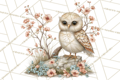 Spring Woodland Animal Clipart, Forest Animals PNG Product Image 5