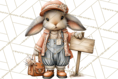 Spring Woodland Animal Clipart, Forest Animals PNG Product Image 3