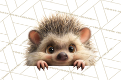 Peeking Cute Animals Clipart, Large-Eyed Baby Creatures, PNG Product Image 5