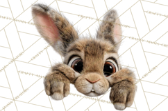 Peeking Cute Animals Clipart, Large-Eyed Baby Creatures, PNG Product Image 3