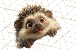 Peeking Cute Animals Clipart, Large-Eyed Baby Creatures, PNG Product Image 2