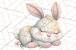 Spring Animals Clipart, Baby Bunny Lamb Chick Duckling Png Product Image 2
