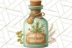 Vintage Herbal Apothecary Clipart, Spring Botanical Png Product Image 2