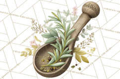 Vintage Herbal Apothecary Clipart, Spring Botanical Png Product Image 5