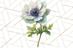 Spring Flower Clipart, Floral Clip Art PNG, Watercolor Product Image 2