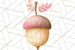 Cozy Woodland Animals Clipart, Baby Forest Creatures PNG Product Image 4