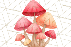 Cozy Woodland Animals Clipart, Baby Forest Creatures PNG Product Image 3