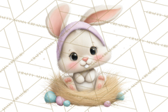 Watercolor Easter Animals Clipart, Cute Animals in Nests Png Product Image 2