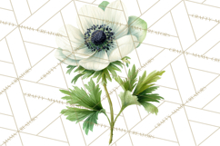Spring Flower Clipart, Floral Clip Art PNG, Watercolor Product Image 3