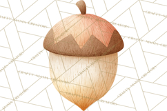 Cozy Woodland Animals Clipart, Baby Forest Creatures PNG Product Image 5