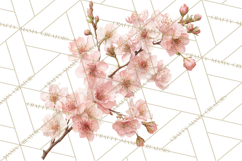 Spring Flower Clipart, Floral Clip Art PNG, Watercolor Product Image 4