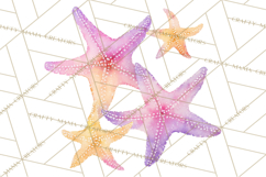 Ocean Baby Animals Clipart PNG, Cute Sea Animals Watercolor Product Image 5