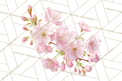 Spring Flower Clipart, Floral Clip Art PNG, Watercolor Product Image 5