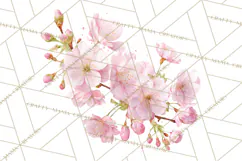 Spring Flower Clipart, Floral Clip Art PNG, Watercolor Product Image 5