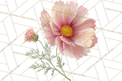 Spring Flower Clipart, Floral Clip Art PNG, Watercolor Product Image 3