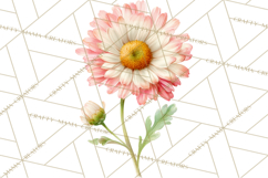 Spring Flower Clipart, Floral Clip Art PNG, Watercolor Product Image 5