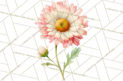 Spring Flower Clipart, Floral Clip Art PNG, Watercolor Product Image 5