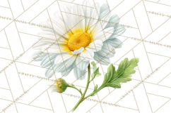 Spring Flower Clipart, Floral Clip Art PNG, Watercolor Product Image 2