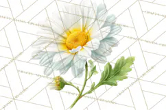 Spring Flower Clipart, Floral Clip Art PNG, Watercolor Product Image 2