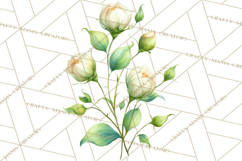 Spring Flower Clipart, Floral Clip Art PNG, Watercolor Product Image 3
