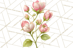 Spring Flower Clipart, Floral Clip Art PNG, Watercolor Product Image 5