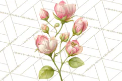 Spring Flower Clipart, Floral Clip Art PNG, Watercolor Product Image 5