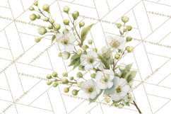 Spring Flower Clipart, Floral Clip Art PNG, Watercolor Product Image 2