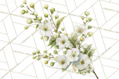 Spring Flower Clipart, Floral Clip Art PNG, Watercolor Product Image 2