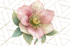 Spring Flower Clipart, Floral Clip Art PNG, Watercolor Product Image 2