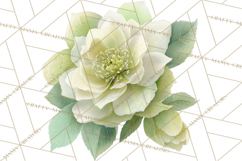 Spring Flower Clipart, Floral Clip Art PNG, Watercolor Product Image 3