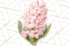 Spring Flower Clipart, Floral Clip Art PNG, Watercolor Product Image 4